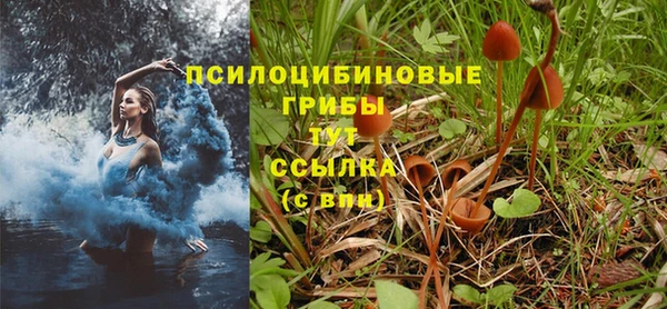 мяу мяу мука Краснослободск