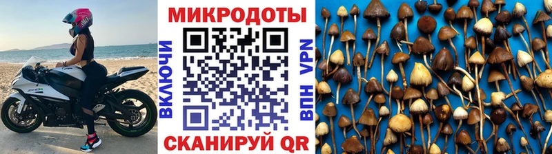 Галлюциногенные грибы ЛСД  Купить  Кисловодск 